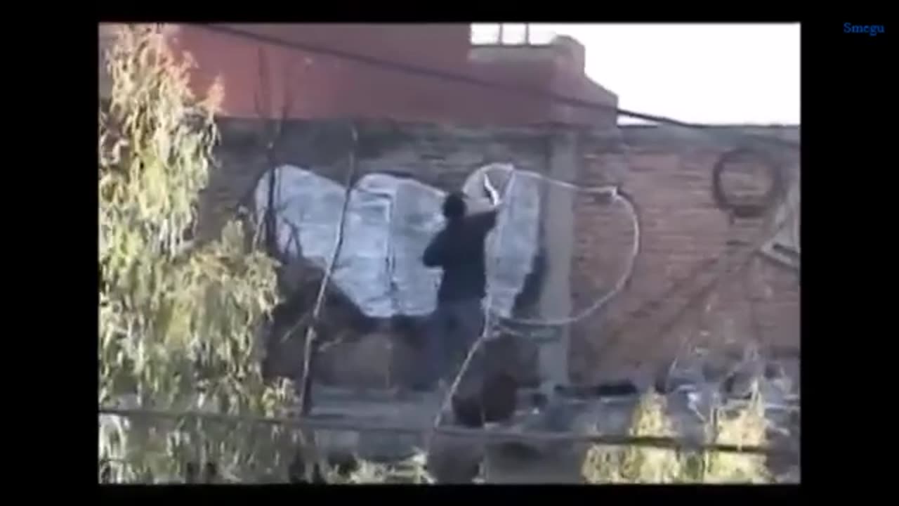 Illegal love 2. 2007 [Graffiti]
