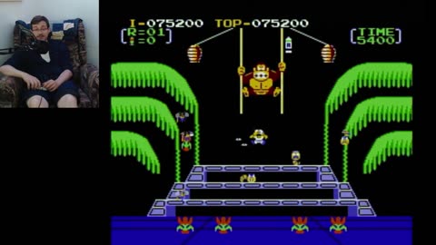 Bate's Backlog - Donkey Kong 3