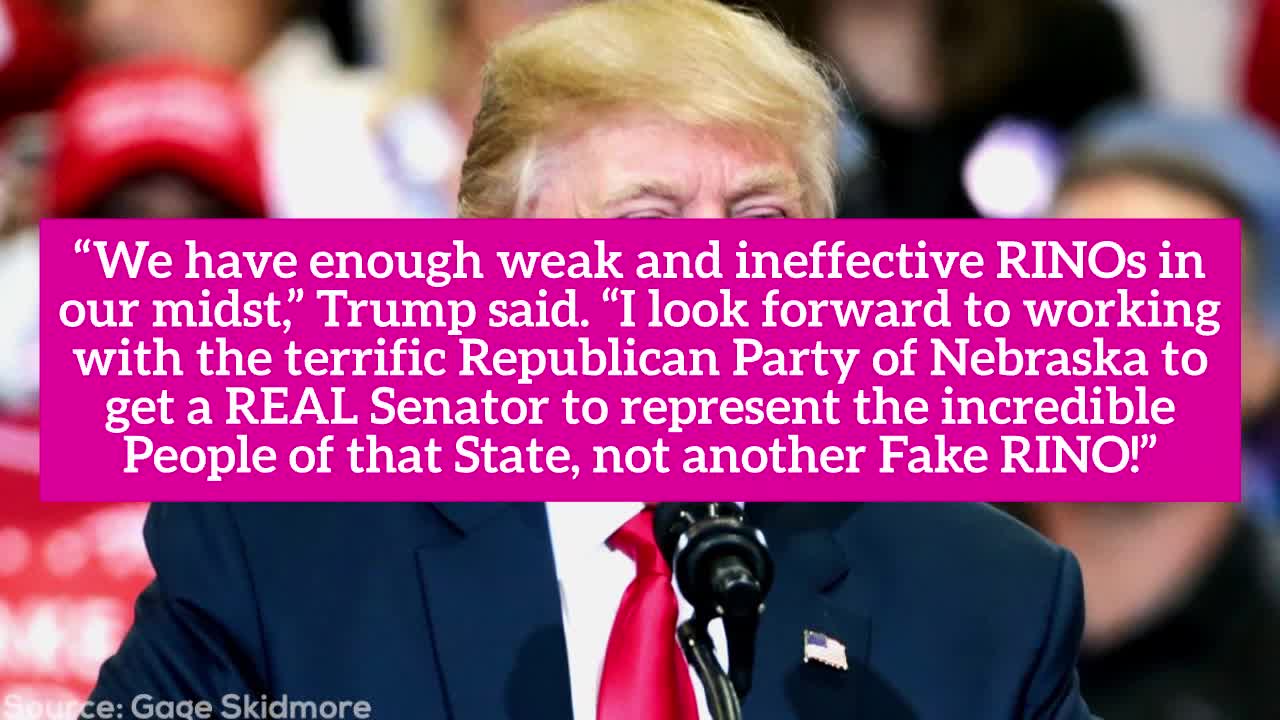 Trump Celebrates ‘Lightweight’ Never Trumper ‘Liddle’ Ben Sasse’s Resignation From Senate