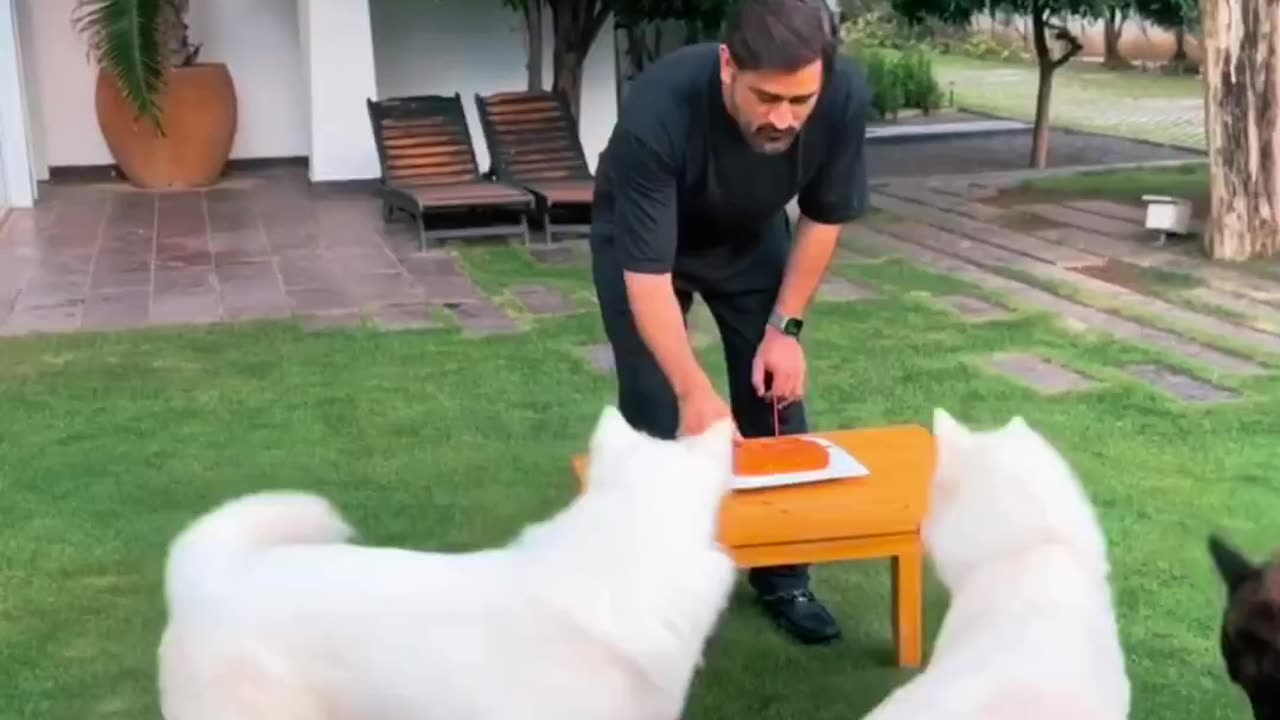 MS Dhoni celebrating his birthday with his pets..😍