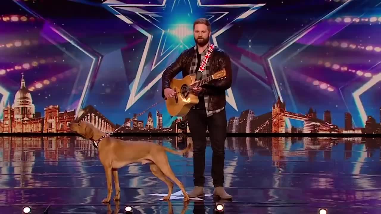 10 FUNNIEST Animal Auditions EVER On Got Talent!