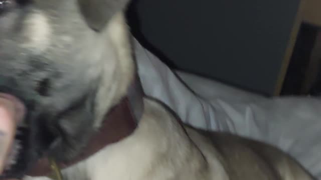 MARLY