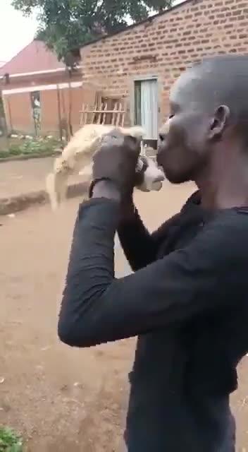 Another one eating another animal