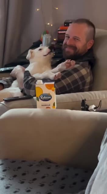 When you didn’t want to get a pet and then you get one