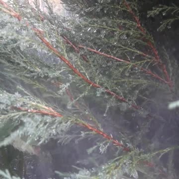 Needles and jets of water