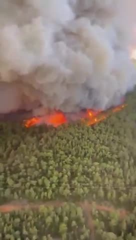 Spanish island of Tenerife engulfed in a huge wildfire, mass evacuations underway