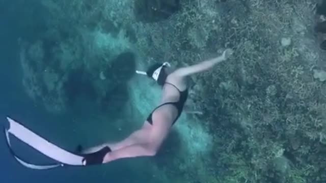 Diving beauty