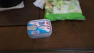 MEAL OF THE DAY