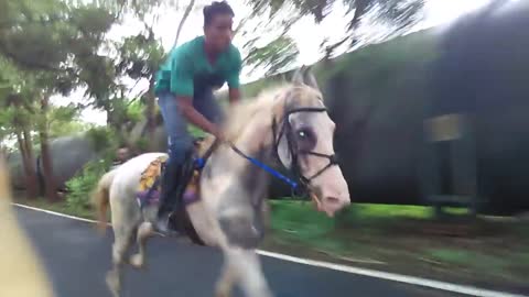 Horse riding video