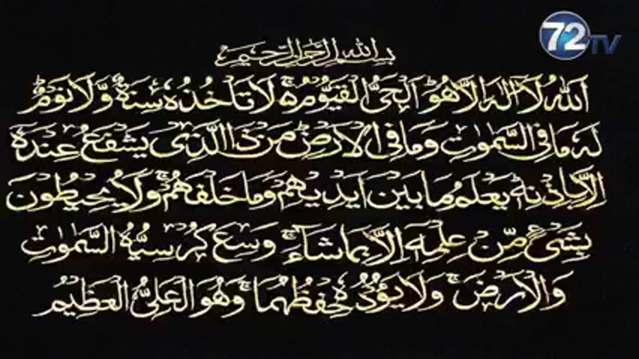 Beautiful clips must watch