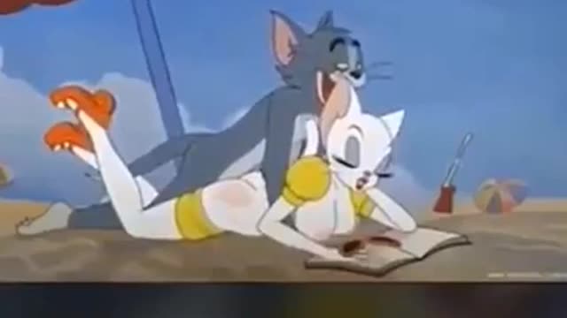 Tom and Sexy Cat