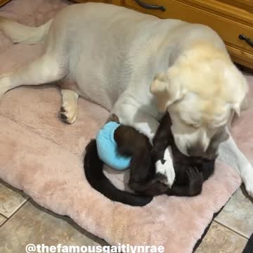 Sister lovin #gaitlyn