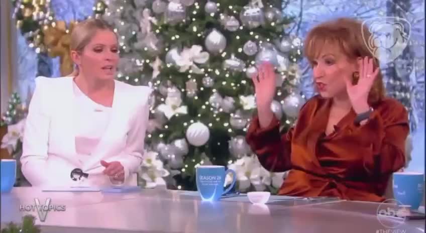 Whoopi and Joy having a tizzy about Americans wanting Joe to visit the border via @TikTokNews45