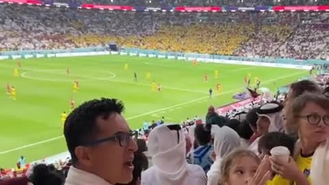 This Qatar fan wasn't happy with the Ecuador fans celebrating in front of him