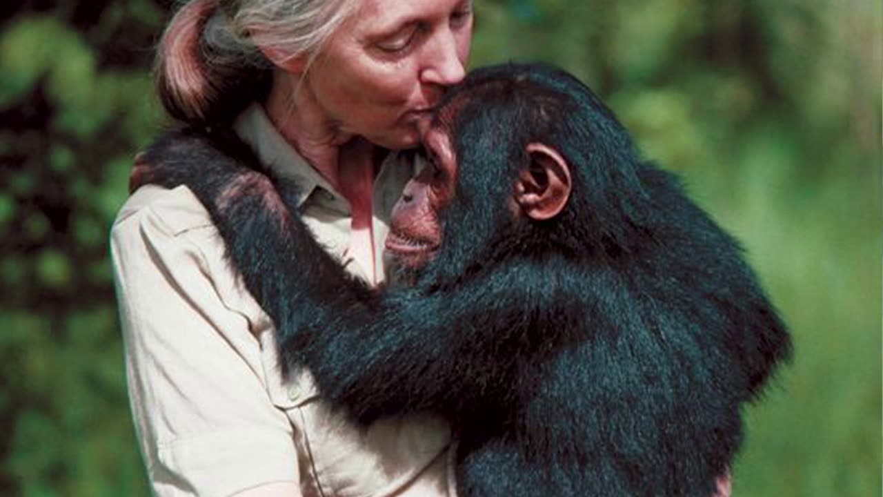 When Animals Being Friends with Human and Cute They Show Their Affection