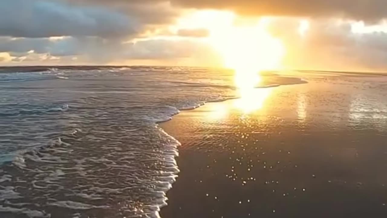 GOA REELS india