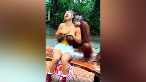 Funny ANIMALS video (6)