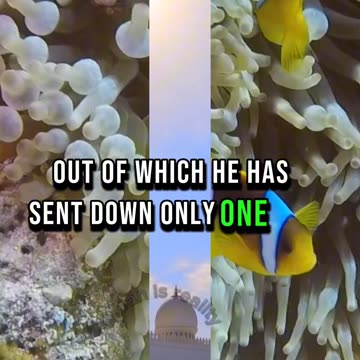 99 Parts of Mercy for Judgement Day | sahih Muslim hadith