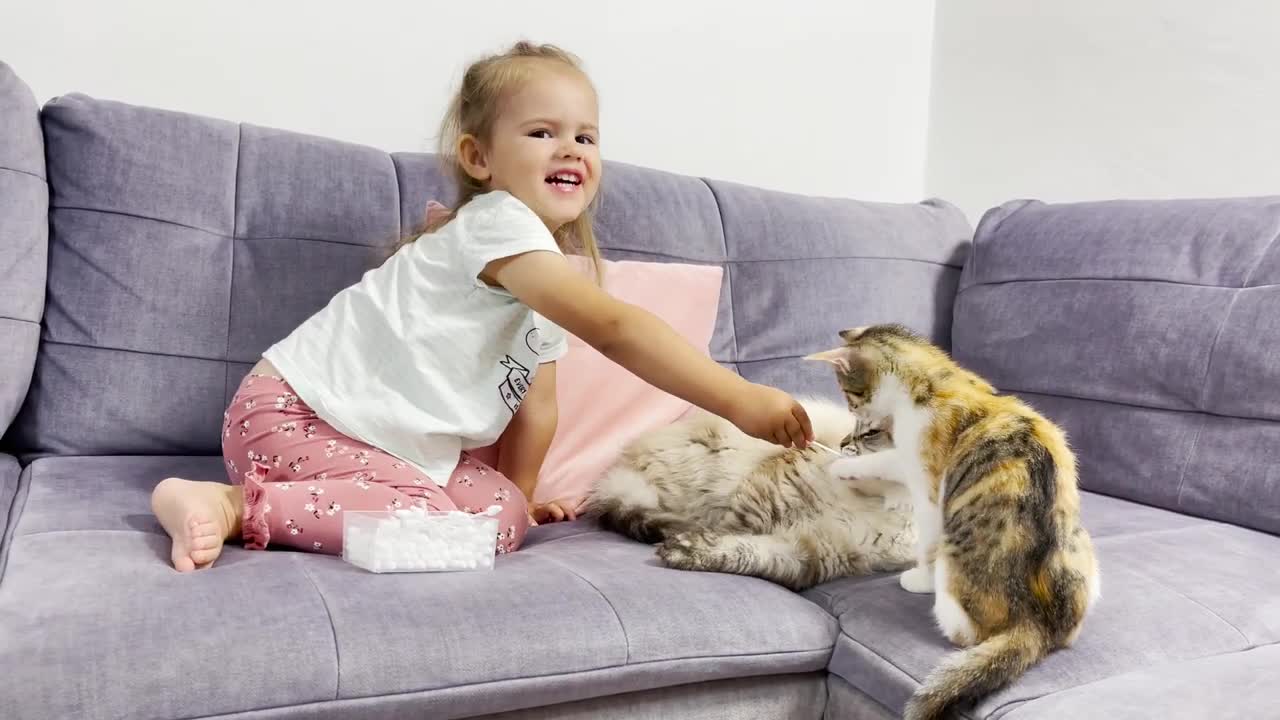 Adorable Baby Girl Trying to Clean Cat's Ears with Cotton Buds [TRY NOT TO LAUGH]