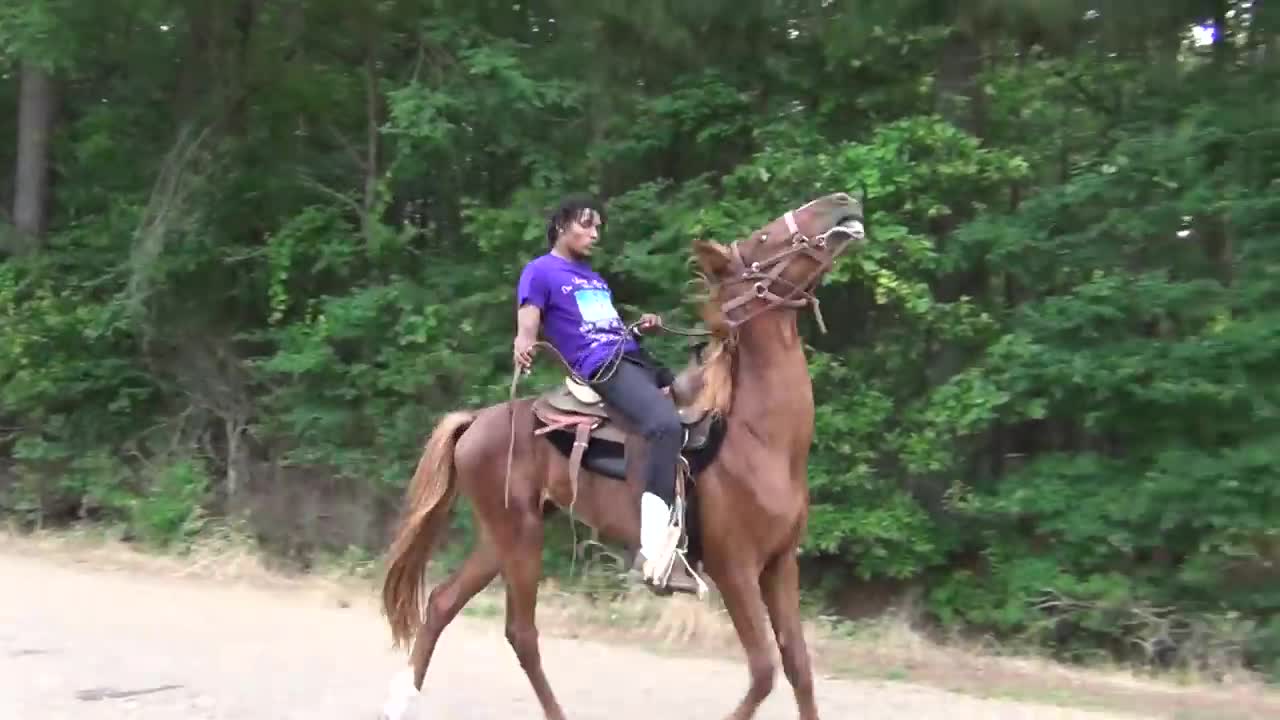 "BIG" Front Action Ryders Annual Walking Horse Trail Ride in Ogden, Arkansas-18