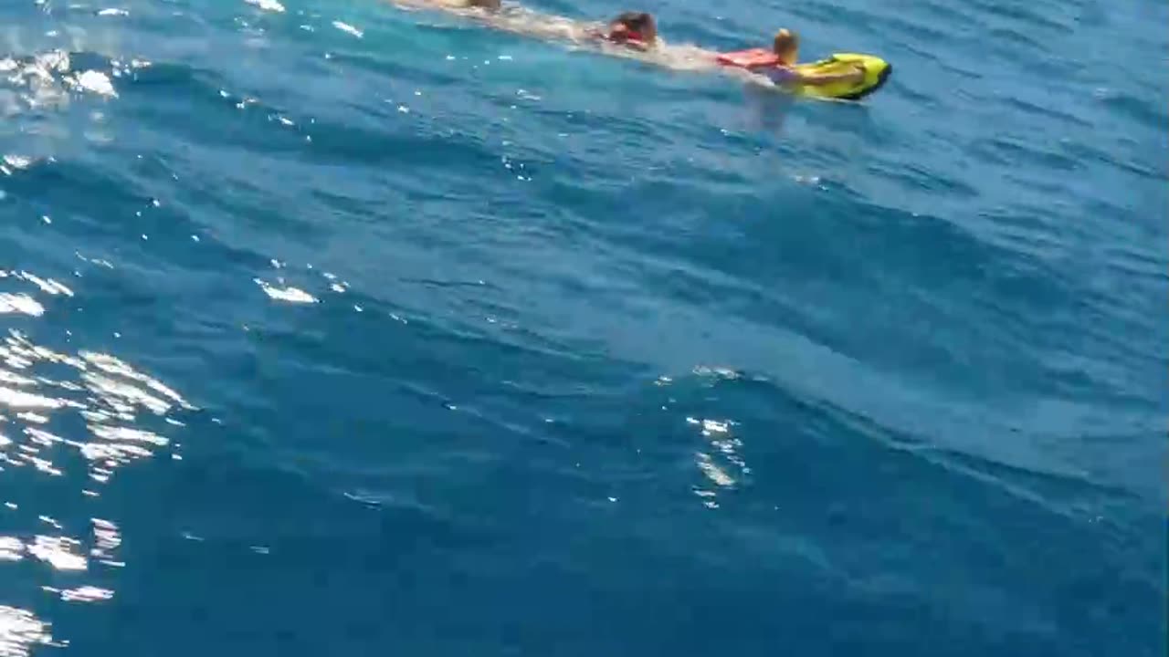 ANDREW TATE: RUMBLE INTRODUCTION