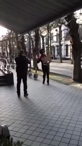 Do you have your ducks in a row?