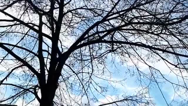 Himmel in Berlin am 9.1.2023 um 13:34 Uhr