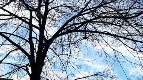 Himmel in Berlin am 9.1.2023 um 13:34 Uhr