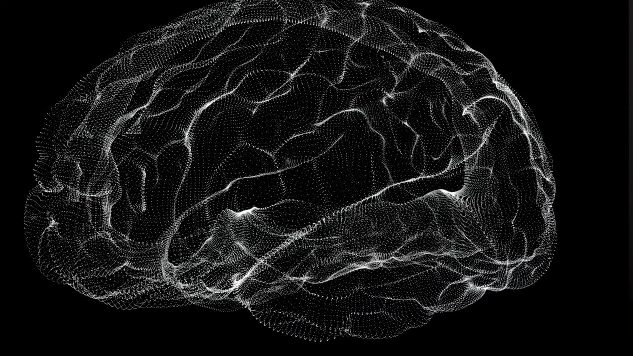 Brain Wave Collection Series. Chapter 5 -QEEG & ERP for Alternative & Functional Medicine