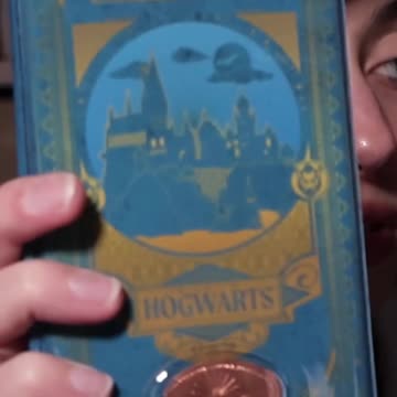 Exploring Wizarding World Via Penny Souvenirs! #harrypotter #universalstudios #orlando #japan #osaka
