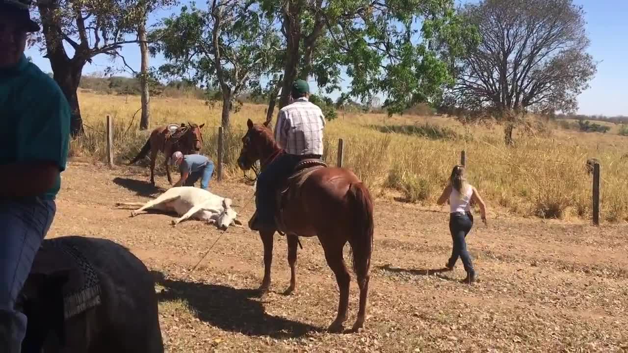 SOLTA FD - JULHO DE 2018