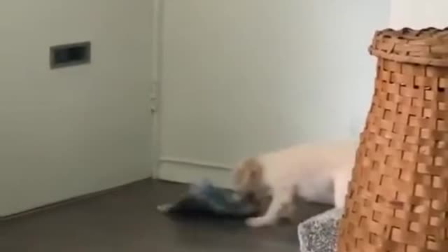 almost fell over