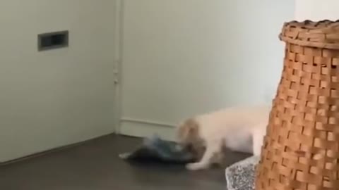 almost fell over