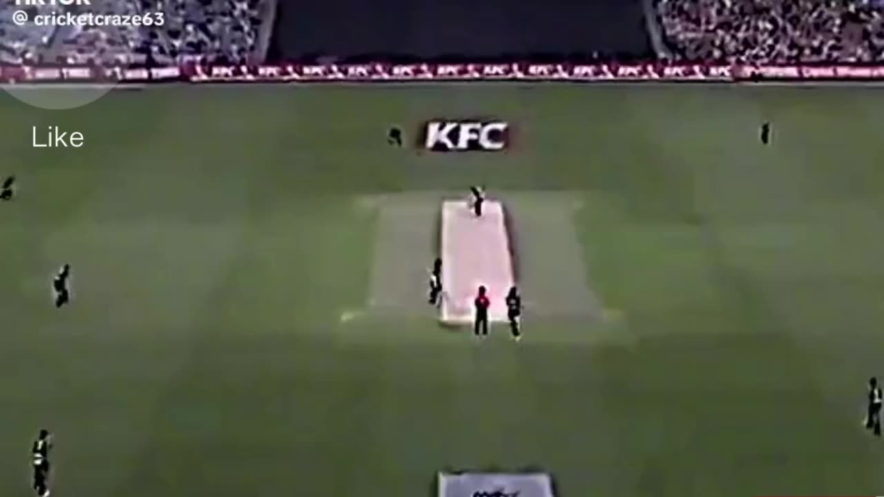 Cricket videos