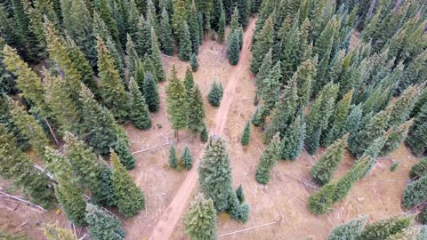 flying over a nature