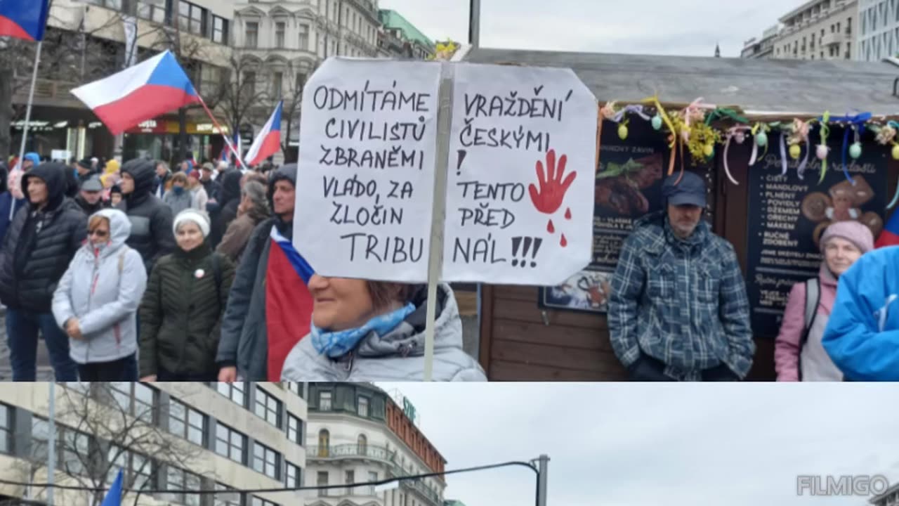 Demonstrace PRO proti fialové hrůzovládě