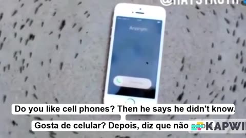 Do you like cell phones? Then he says he didn't know. / Gosta de celular? Depois, diz que não sabia.