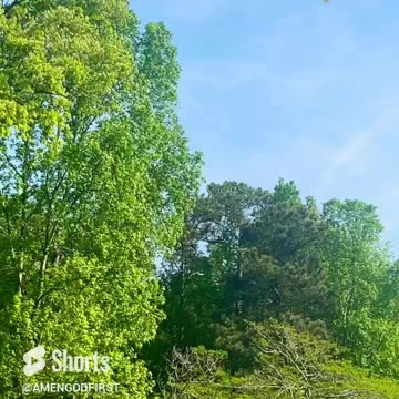 chosen ones it’s time to fly! #fyp