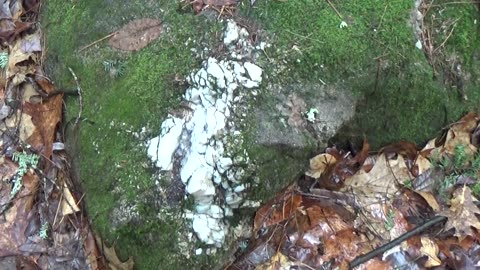 Quartz Rock