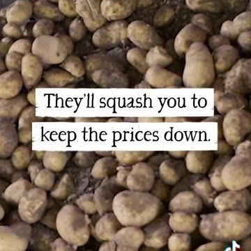 Riverford Organic Farmers