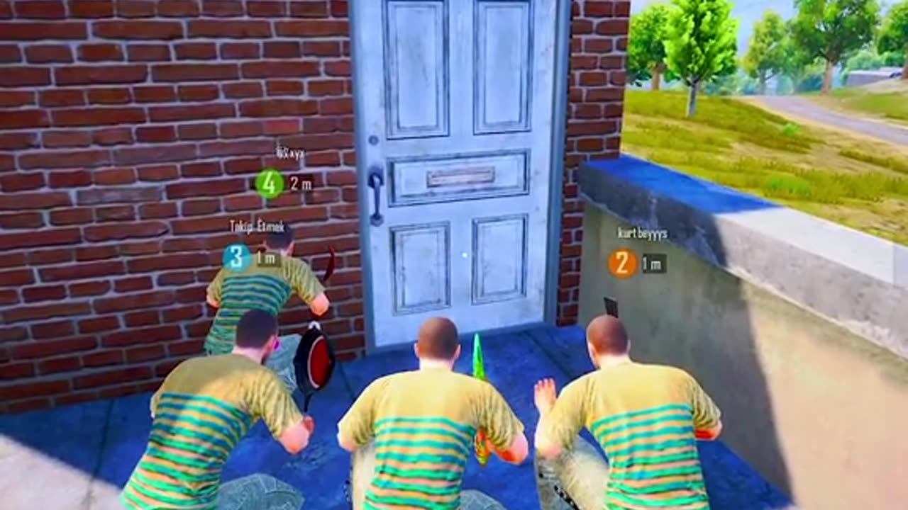 Vector funny moment
