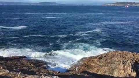 Relaxing Music | Sleeping, Meditation, Stress Relief | [6020] ⭐️