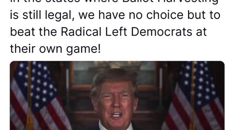 45+ | Ballot Harvesting