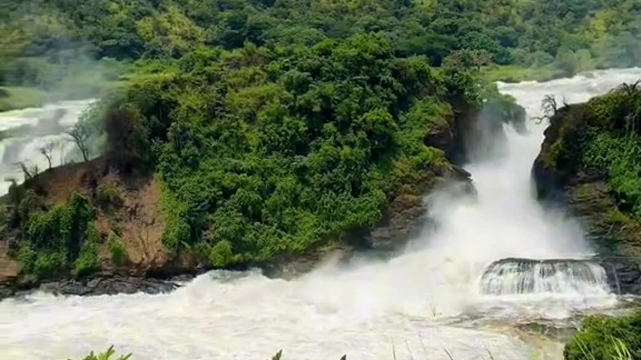 Murchison falls national park Uganda 🇺🇬