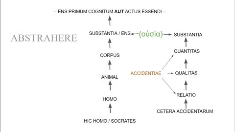 Lectiones de Libris Physicorum 2.3 - De Abstractione