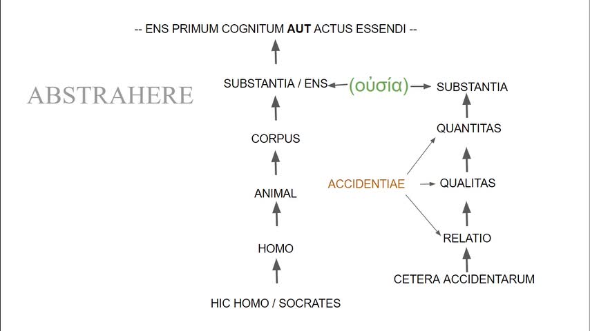 Lectiones de Libris Physicorum 2.3 - De Abstractione