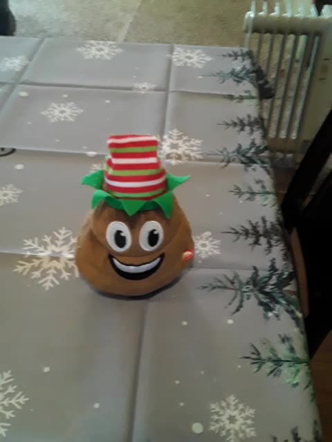 My Christmas Poopy wants to rag a Democrat