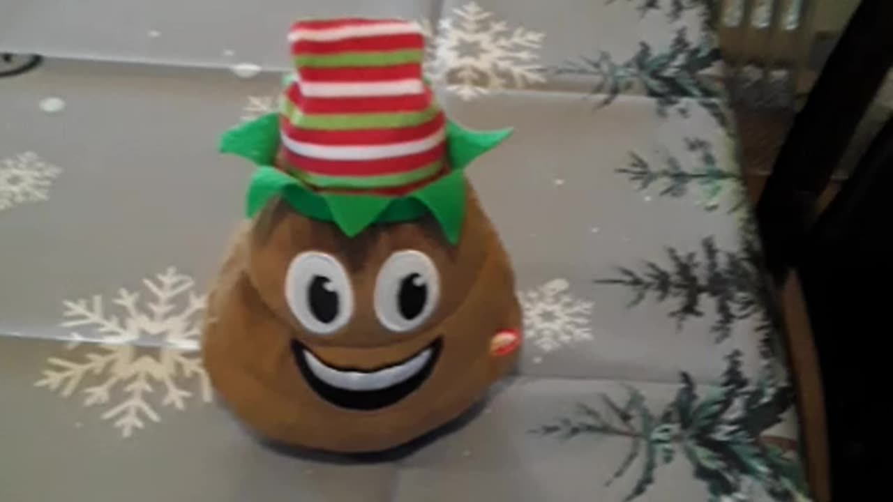 My Christmas Poopy wants to rag a Democrat