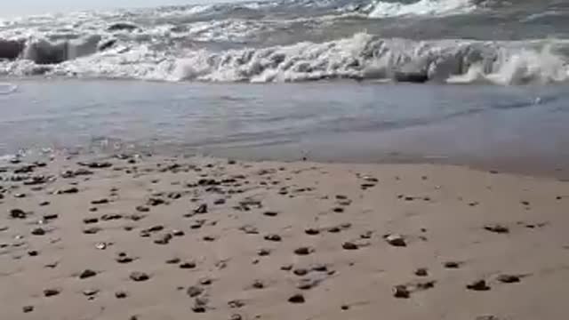 The Baltic Sea on a rough Summer Day