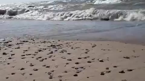 The Baltic Sea on a rough Summer Day